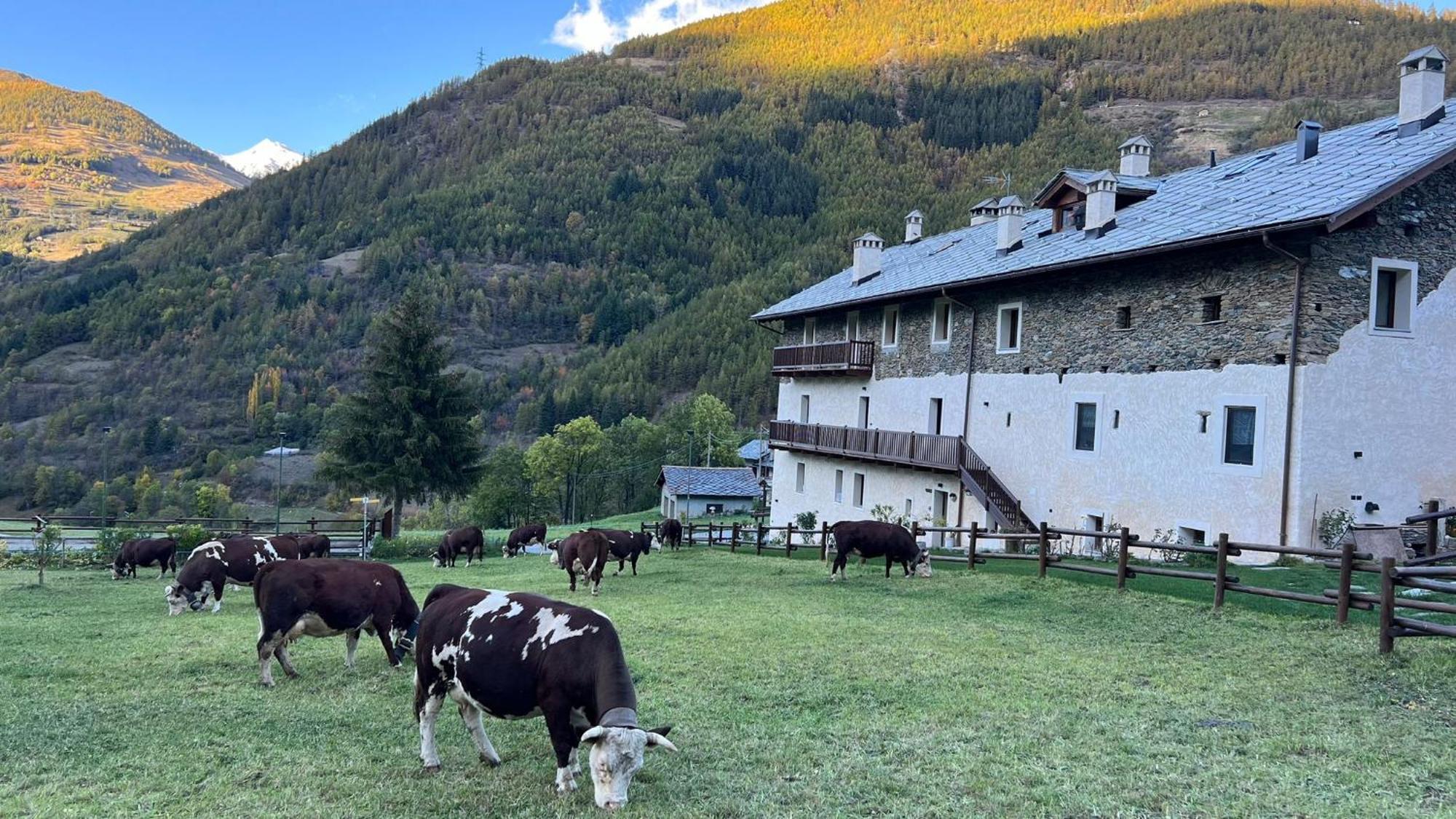 Maison Marcoz - Appartamenti Vacanze Etroubles Buitenkant foto